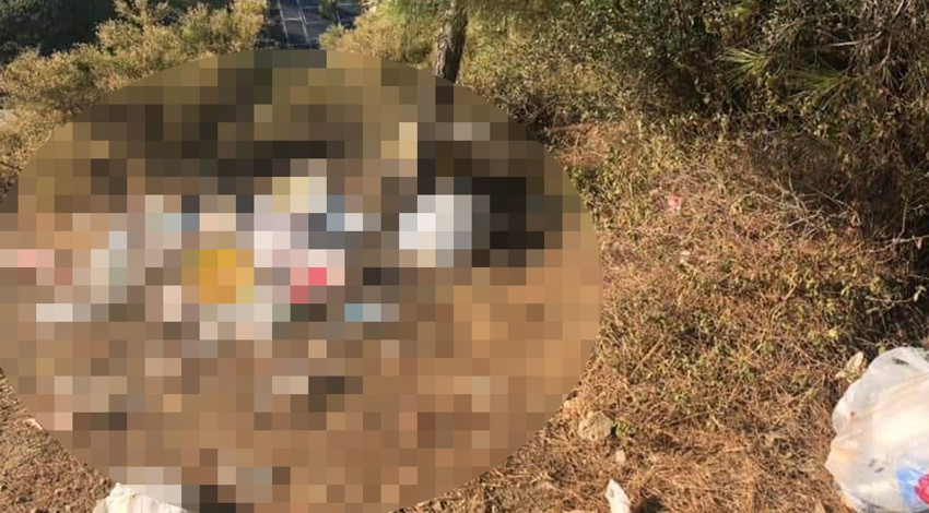 Fethiye'de çalılıkların arasında bu manzarayı gören vatandaşlar sinir küpüne döndü. Adeta isyan ettiler
