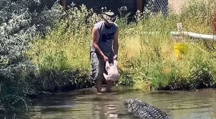 Nehirde aç bekleyen canavara kanlı hindi yedirmek istedi... Hindiyi verdiği sırada korkunç bir şey oldu, az daha hindi yerine kendi yem oluyordu