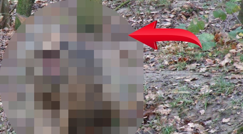 Dünyada kıyamet işte böyle böyle kopacak. O canlı artık aramızda yok. Resmen büyük felaketin habercisi
