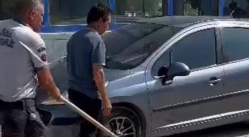 Bahçe duvarını aşarak araçların altına girdi.  Herkes panik olurken o eliyle yakalayıp doğaya bıraktı