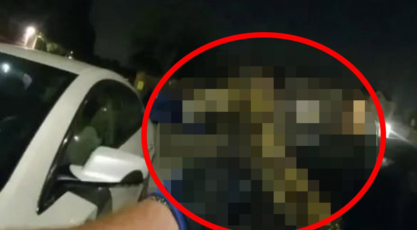 Arabasına binmek isteyen kadın, arabasının önündeki dev yaratık nedeniyle kapıya bile yaklaşamadı. Hemen ekipleri aradı. Ekipler bile şaşkına döndü