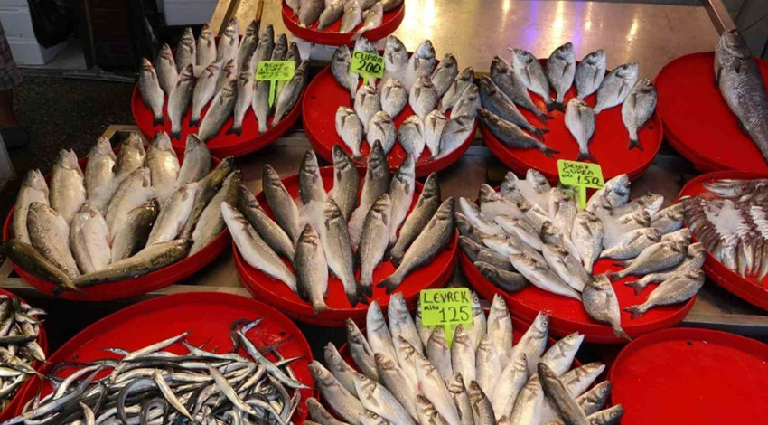 İlk ağlarını atan balıkçılar umduğunu bulamadı! Trabzon'da balık avı sezonu sönük başladı