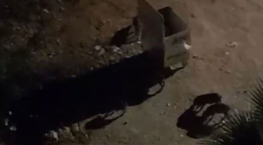 Antalya'da sokakta görüntülenmişlerdi, şimdi de Muğla için acil uyarı geldi. İzmir, Aydın ve Uşak'ı da ilgilendiriyor. Bunu yaparsanız eve giriyor