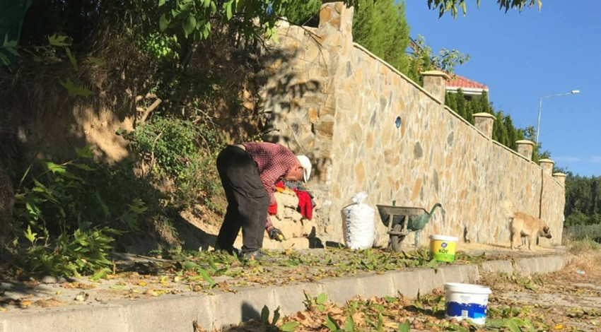 İçi dolu dolu, kabuğu incecik... Bölgenin en sevilen ürünü için çalışma başladı... Kilo fiyatı da açıklandı