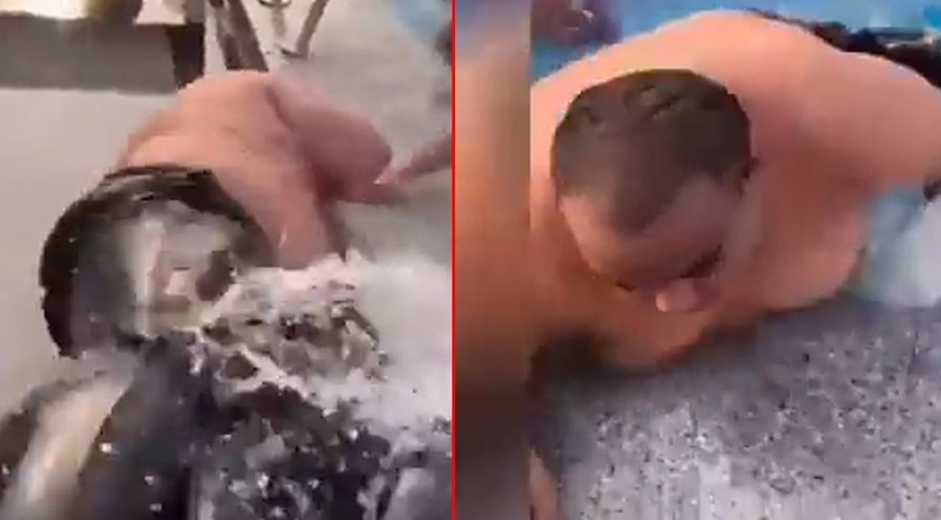 Dubaili iş insanı havuza öyle bir canlı bıraktı ki, havuzdakiler birbirilerini ezme pahasına da olsa can havliyle havuzdan kaçıştı