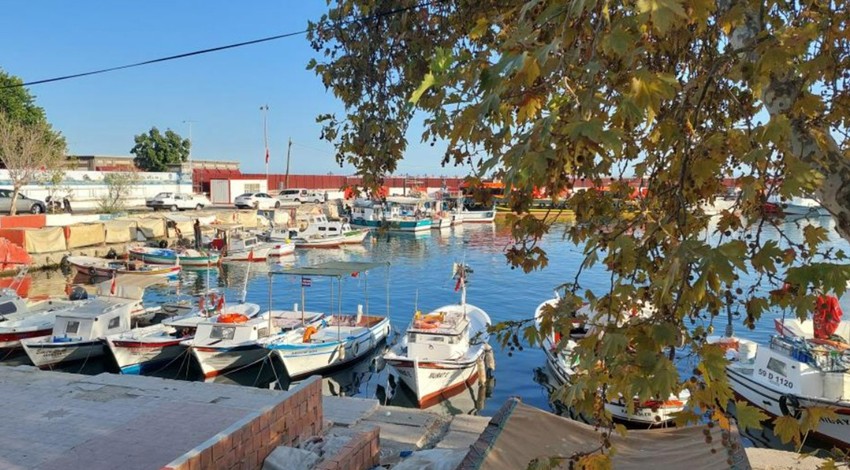 Tekirdağ, Kırklareli, Edirne'den Trabzon, Rize, Samsun, Giresun ve Artvin'e doğru büyük akın başladı... İpleri çözüp çözüp gidiyorlar