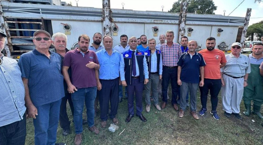 Samsun'da 3 milyon 200 bin tanesi aynı anda aynı yere bırakıldı. 3 milyon 200 bin tanesi hep birlikte kaçışmaya başladı