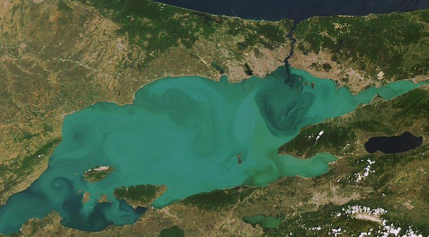 Marmara Denizi'nde yepyeni bir dönem için adım atıldı. Binlerce deniz canlısına ev sahipliği yapacak