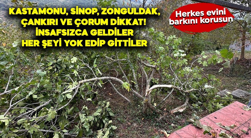 Kastamonu’da sonra Sinop, Zonguldak, Çankırı ve Çorum... Acil dikkat edin... İnsafsızca patır kütür evlerin yanında kadar gelmeye başladılar