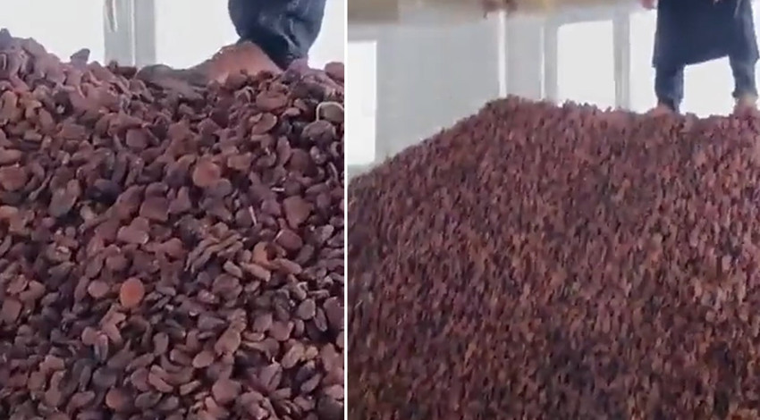 Türkiye'de kaydedilen görüntü ortalığı ayağa kaldırdı... Büyük rezillik... Ayaklarının altında çiğnedi dakikalarca üstünde gezdi