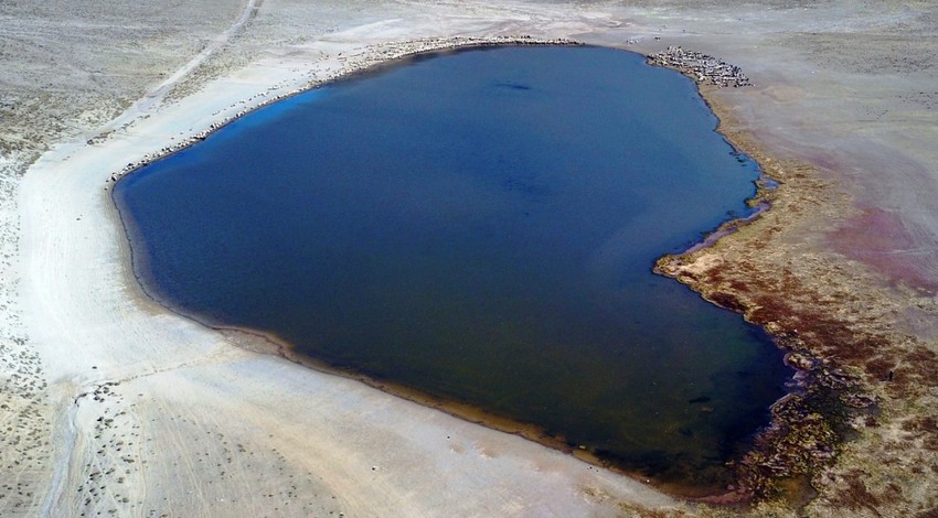 Yerden 2250 metre yüksekteki Kalp Gölü'nün etrafına toplanıp su içtiler... Nemrut Dağı'nın o görüntüsü kartpostallık görüntüler oluşturdu