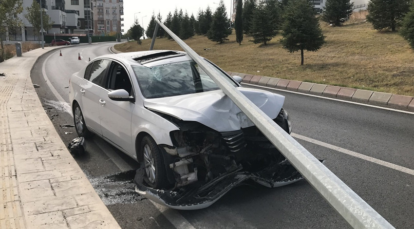 Sivrisinek deyip geçmeyin; bakın neye sebep oldu!