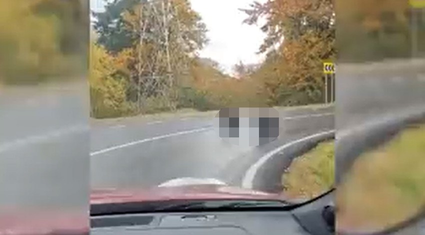 Dünyanın kabusu yaratık, ormanın içinden araçlarıyla geçen ailenin yolunu kesip öylece bekledi. Ardından yaptıkları hareketi görenler gözlerine inanamadı