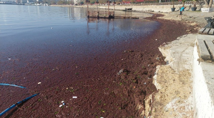 Şiddetli lodos Tekirdağ sahillerini kırmızıya boyadı