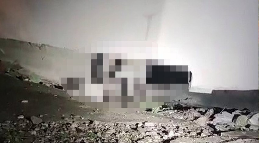 Doğanın vahşi ve asil canlısı gecenin karanlığını şehir merkezine kadar indi