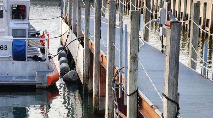 Hayvanlar aleminin en zeki yaratıklarından biri kendisini çok zor bir duruma düşürdü. Ölümle burun buruna gelen canlı mahsur kaldığı yerde kurtarılmayı bekledi