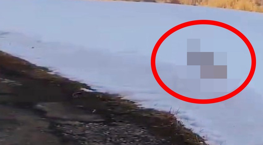 Ardahan'da kar üstünde ortaya çıktı. Karda yürüyüp izini belli etmedi. Artvin ve Erzurum dikkat. Sizde de o canlı görülürse süper