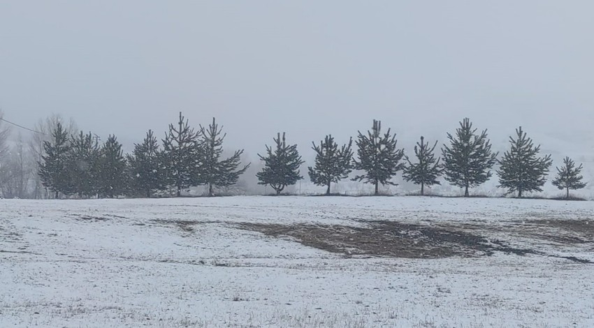 Erzurum'da kar yağışı etkili oldu