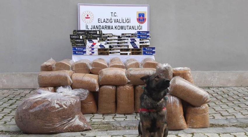 Elazığ'da operasyon! Binlerce kaçak makaron ve tütüne ele geçirildi
