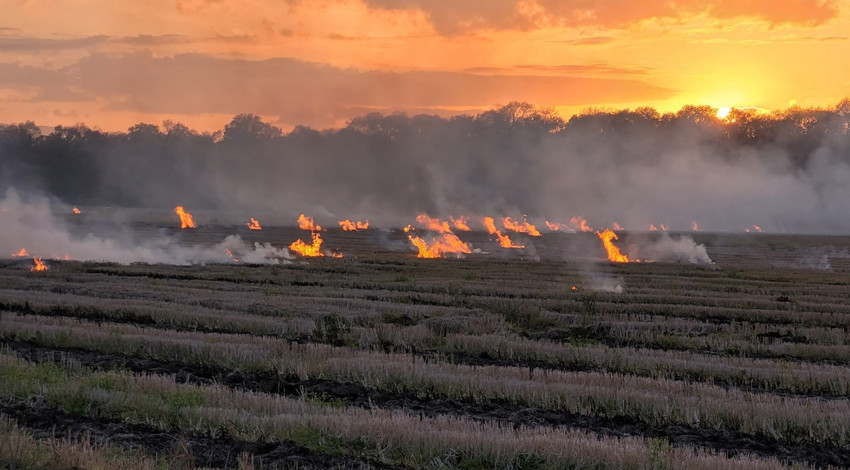 Çanakkale Valiliği'nden orman yangınlarına karşı uyarı