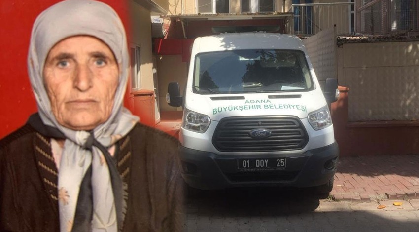 Adana'da vahşet! Köpek sürüsü yaşlı kadını parçaladı