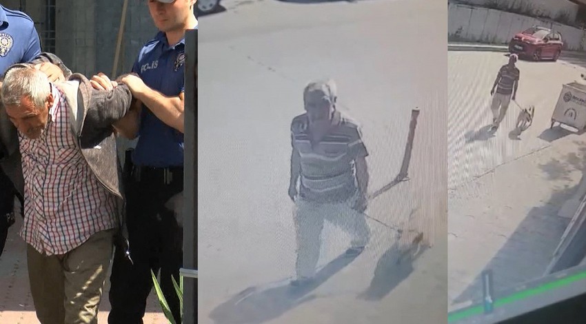 Sokak köpeğini defalarca istismar etti! Adliyeye sevk edilen şüphelinin suç dosyası kabarık çıktı!