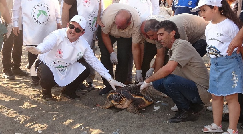 Nesli tehlike altındaki o canlının tedavisi 2 yılın ardından son buldu! Şimdi yeniden doğal ortamına bırakıldı... Tam 50 yaşında bir ihtiyar
