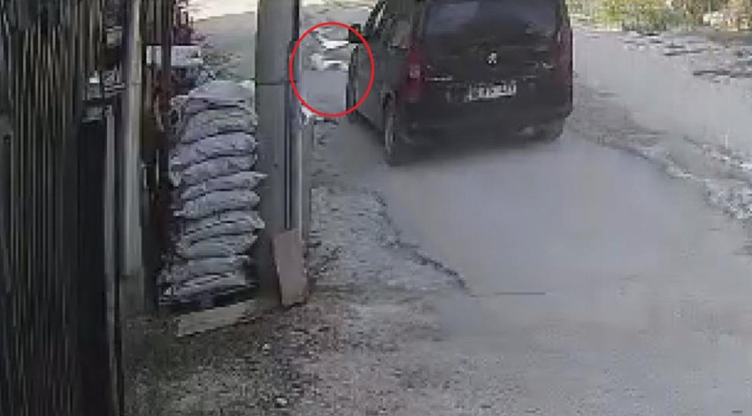 Hatay'da vahşet! Su içen kediyi aracıyla ezdi