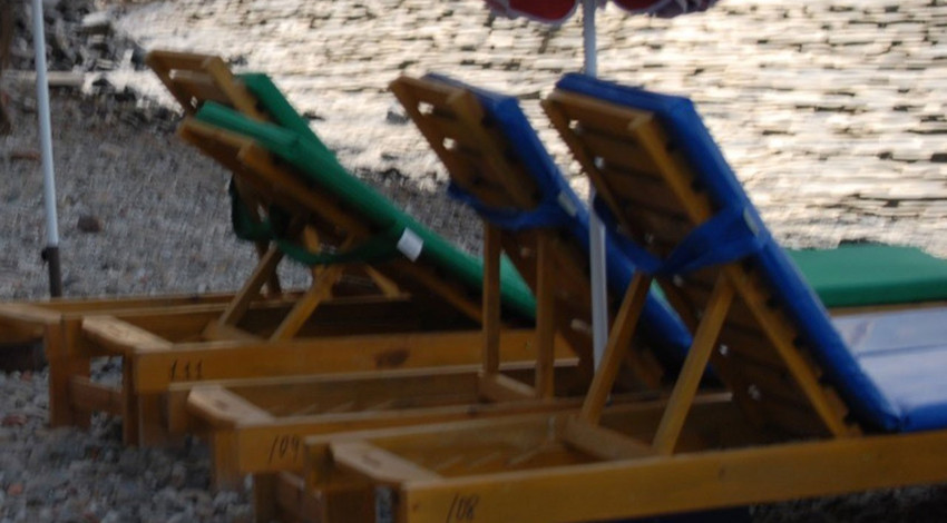 Muğla'nın o ilçesinde ormanlık alandan çıkıp geldiler. Plajdaki şezlongların arasına kadar geldiler. Tatilciler büyük şaşkınlık yaşadı