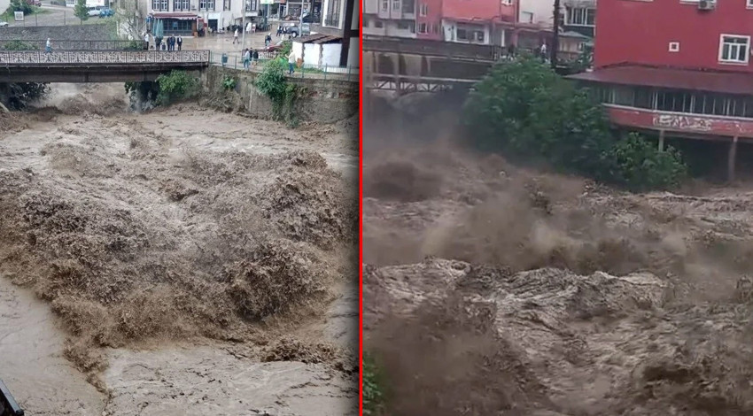 Ordu ve Muş'ta sel felaketi: 2 kişi hayatını kaybetti