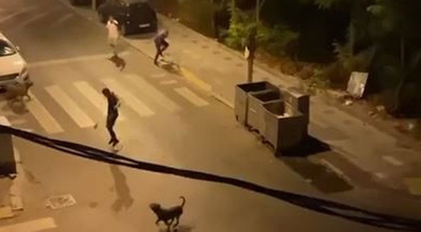 İstanbul'da tartıştığı adamın üzerine 3 köpeğini saldırttı