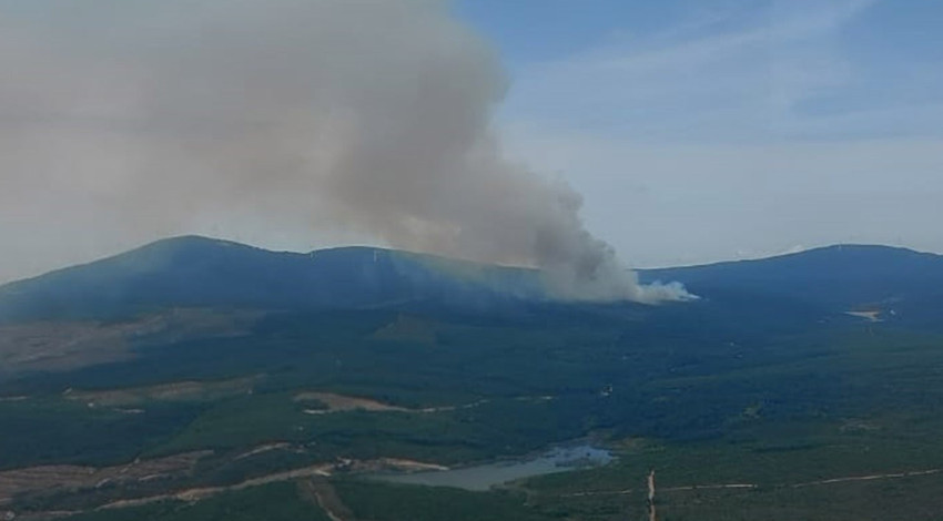 Yalova'da orman yangını! Havadan ve karadan müdahale ediliyor