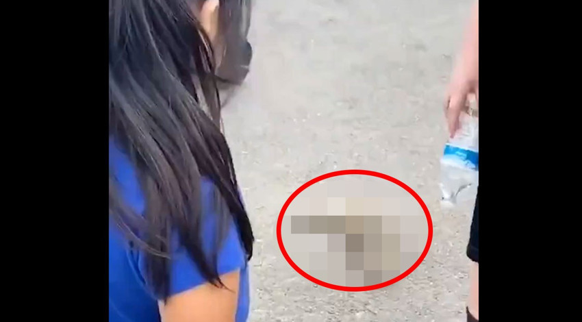 Bir anda koşarak yanına gelen yabani canlı, tuhaf hareketleriyle adama bir şeyler anlatmak istedi. Aynı dili konuşmasalar da anlaşmayı başardılar