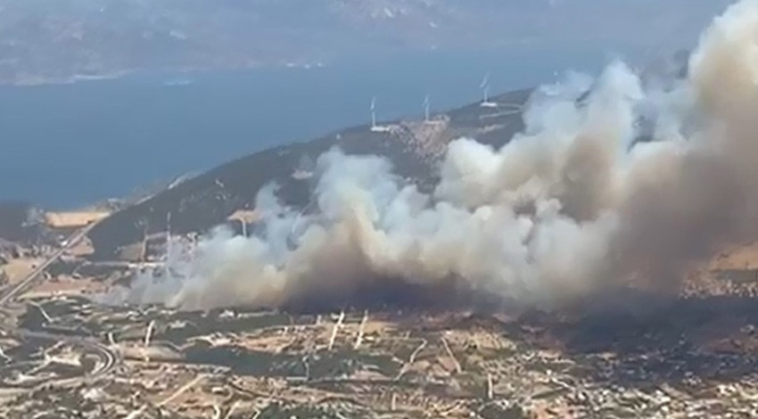 Aydın'da korkutan yangın! Ekipler havadan ve karadan müdahaleye başladı