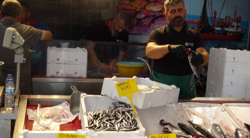 Denizlerde av yasağı son buldu! Hamsi ve palamut tezgahlarda yerini aldı