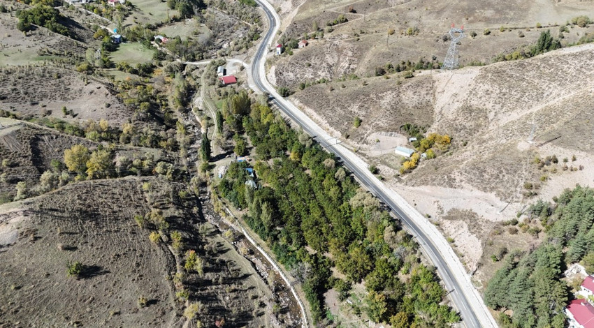 Tunceli'de zahmetli hasat zamanı geldi. 20 metrelik ağaçlardan uzun sırıklarla silkeliyorlar