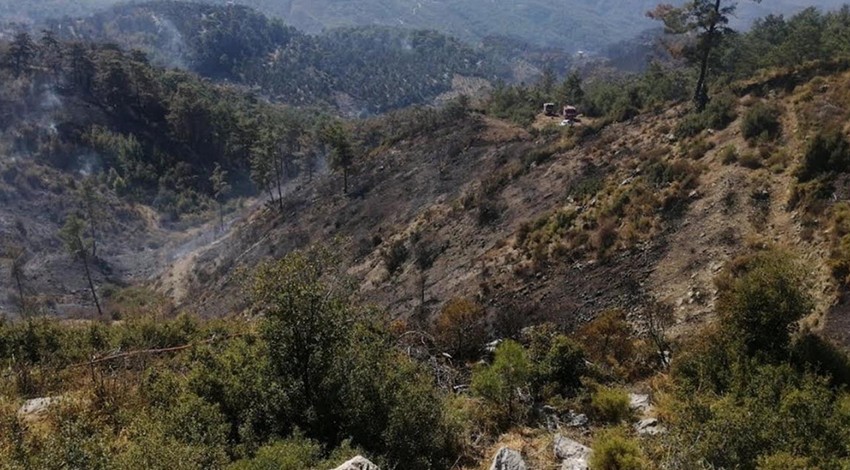 Muğla'daki orman yangınında 3'üncü güne girildi: Müdahale hala devam ediyor!