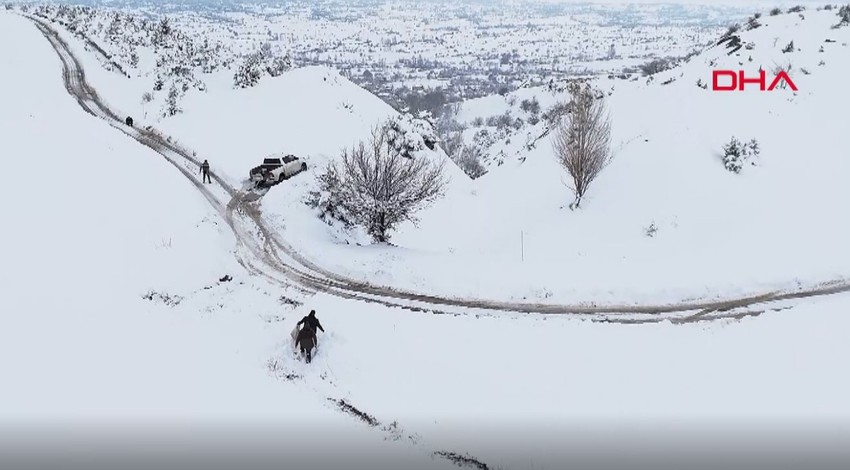 Erzincan'da kar yağınca aç kalmışlardı. İnsanlara saldırmasınlar diye yetkililer harekete geçti