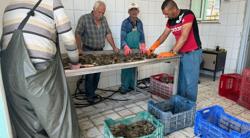 Isparta'da tam 498 ton teker teker toplandı... Bölge halkı büyük sevinç yaşadı