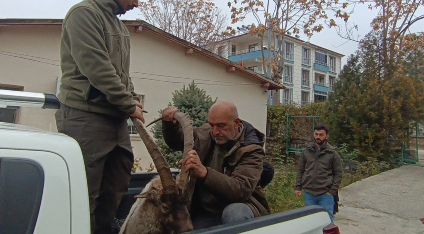 Tunceli'de ekipler ihbar üzerinde çaresiz bir keçinin yardımına gitti. 30 dakikada bölgeye ulaşan ekipler keçideki detayı fark edince yıkıldı