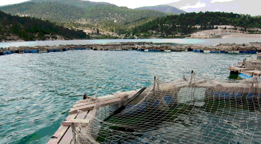 Kars'ta 20 ton hayvanın yer aldığı çiftliği kontrole giden vatandaşlar, inanılmaz bir manzara ile karşılaştı