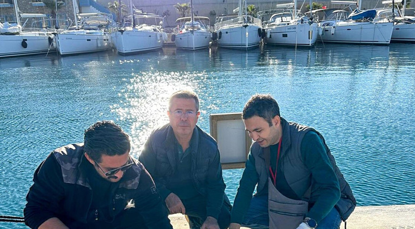 Muğla'daki marinada hareketsiz halde bulundu. Nadir canlı için acil harekete geçildi