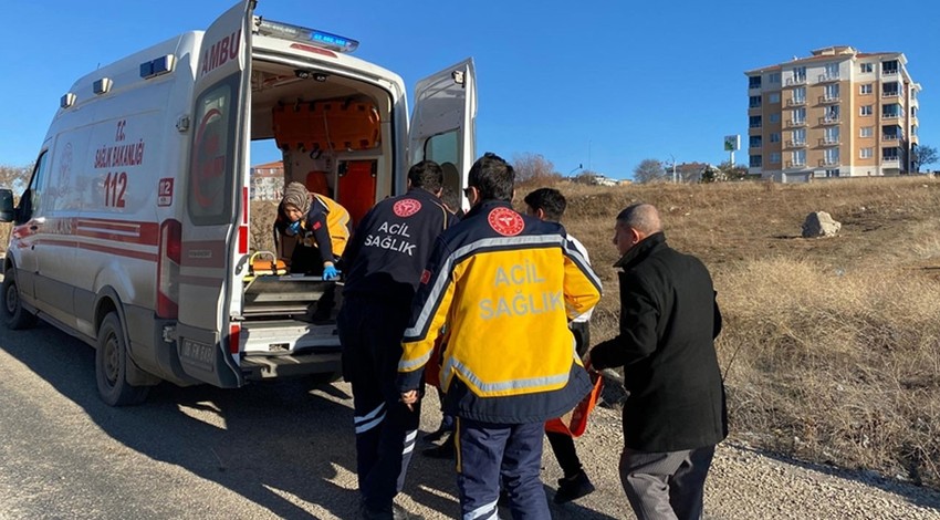 Ankara'da sokak köpekleri dehşet saçtı! Vatandaşlar sitem etti