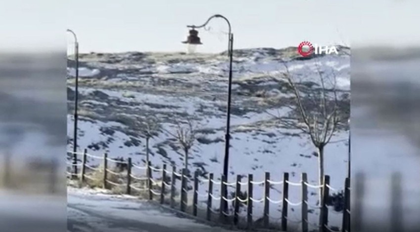 Elazığ'da havadaki hayvan bile çaresiz kaldı... Kar üstünde bir anda ortaya çıkınca herkes şaştı kaldı