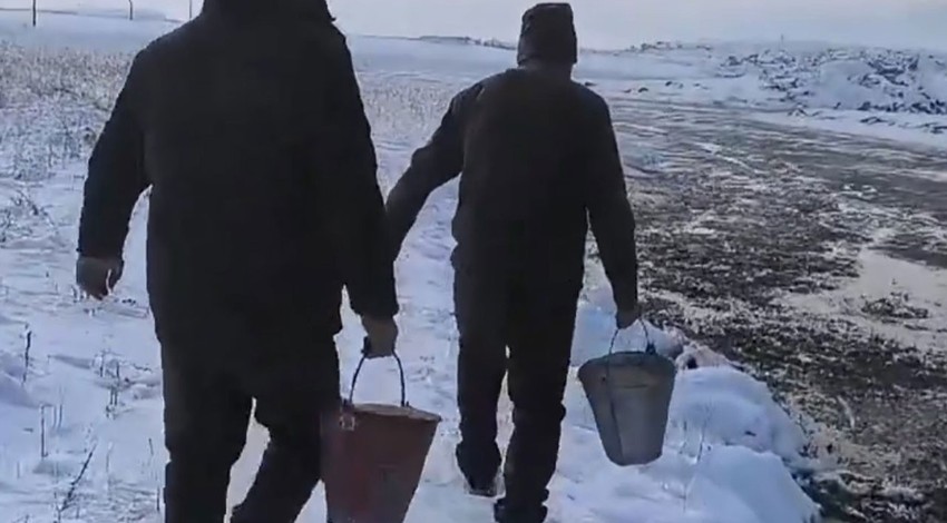 Yoğun kış şartlarının yaşandığı Van'da, onları da unutmadılar. Karla kaplı araziye kova kova taşıyıp, doğaya bıraktılar