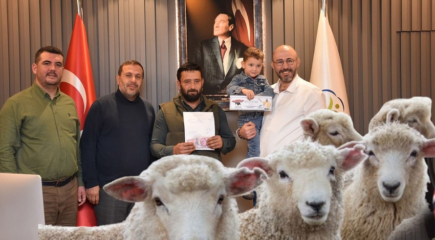 Aydın'da 100'lerce koyuna bakan çobanın bir anda karşısına 3 gün sonra çıktı. Bulduktan sonra yaptığı hareket herkesten alkış aldı