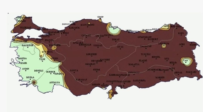 Kayseri'den Türkiye'ye korkunç kahverengi uyarısı. Durum çok kötü