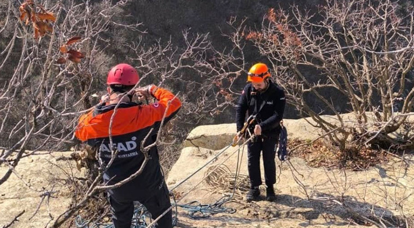 Siirt'te hayvan sahibi 3 tane keçisini gördüğü yer ile dehşete düştü. Acilen resmi ekiplere durumu bildirdi
