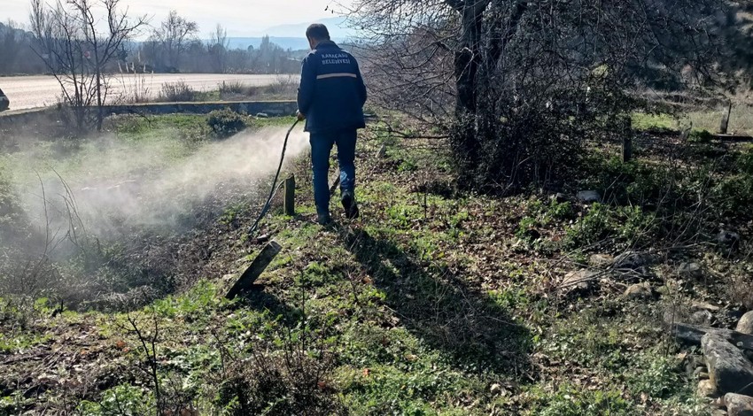 Aydın'da görevli ekipler, hazırlıklara başladı. Her yeri ilaçlıyorlar