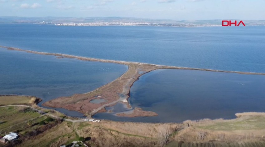 Çanakkale'de 5 yıldan bu yana kaydı yapılıyordu. Araştırmacılar son araştırmasında ilginç bir detayı fark etti